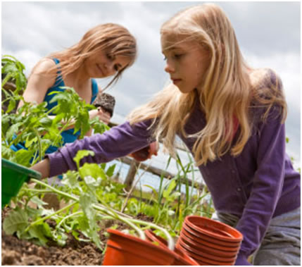 two girls planting herbs