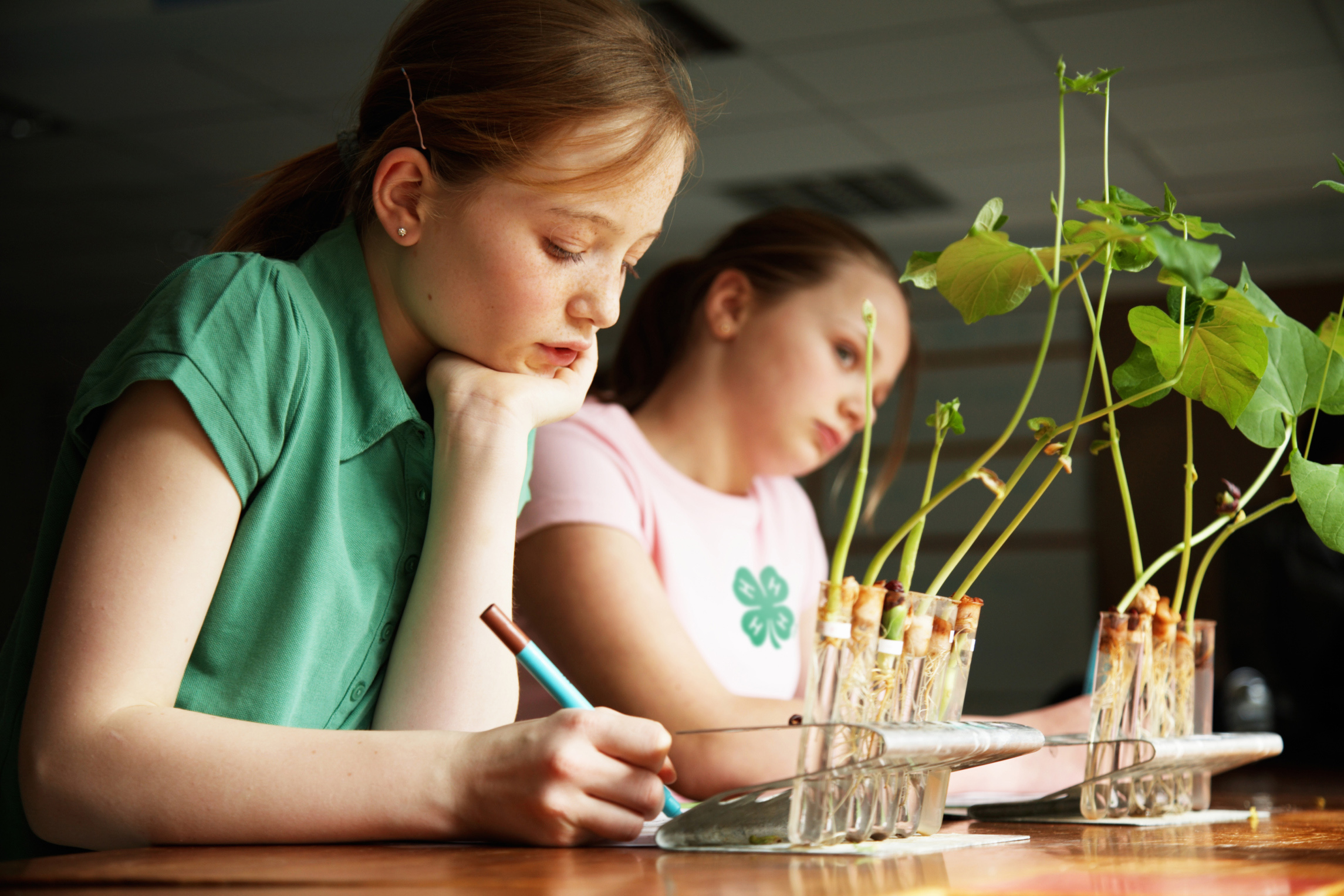 Girls working on science at school