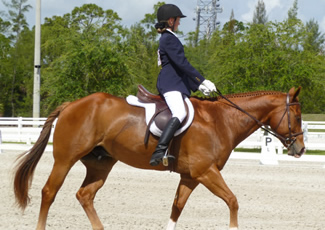 Girl and horse in Dressage competition