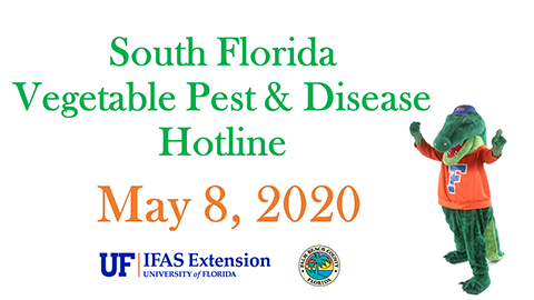 PBC Pest & Disease Hotline image