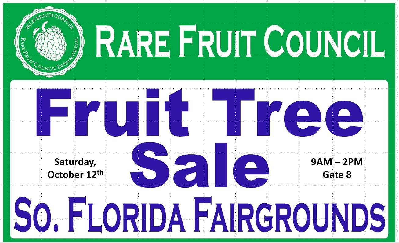 rare fruit tree sale