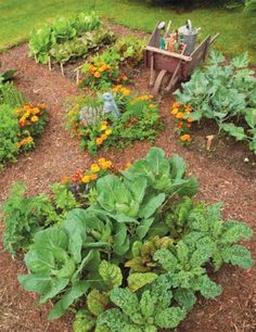 Free Lecture - Prepping for a Fall Garden 