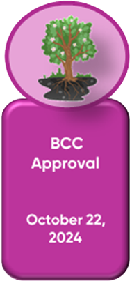 Step 5 - BCC Approval