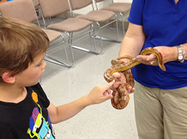 child touching snake
