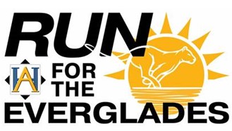 run for the everglades