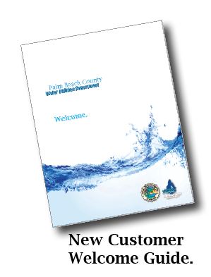 New Customer Guide brochure