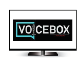 Voice Box Logo