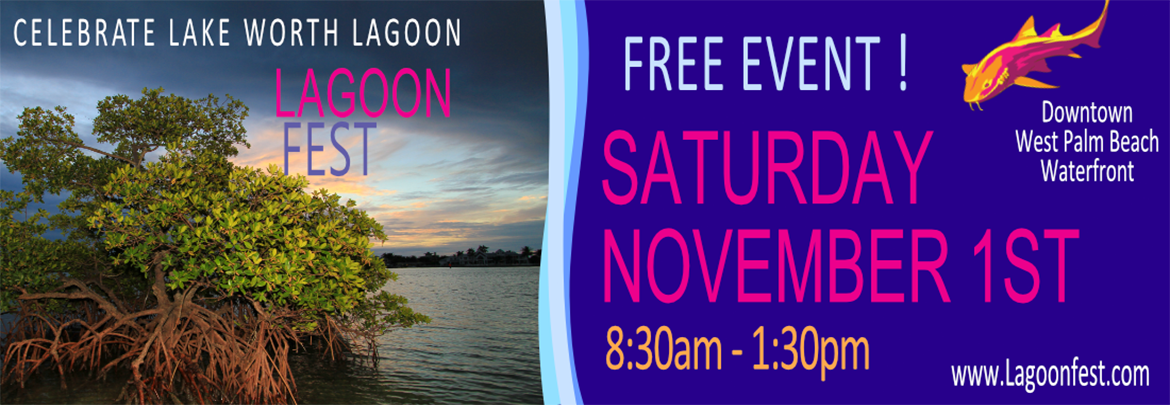 Lagoon Fest Banner 2025