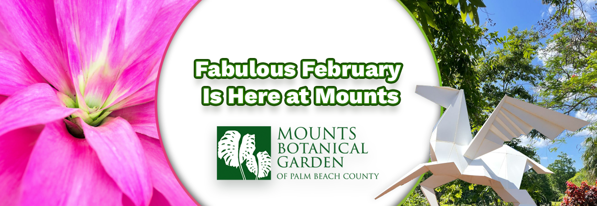 Fabulous February Is Here at Mounts_WebsiteBanner_144ppi copy image