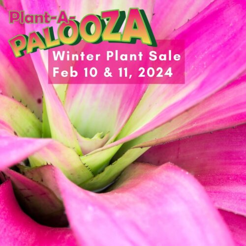 Plant-A-Palooza thumbnail image