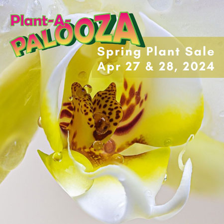 http://pbcauthor/NewsroomImages/0424/1.-Spring-Plant-Sale.jpg