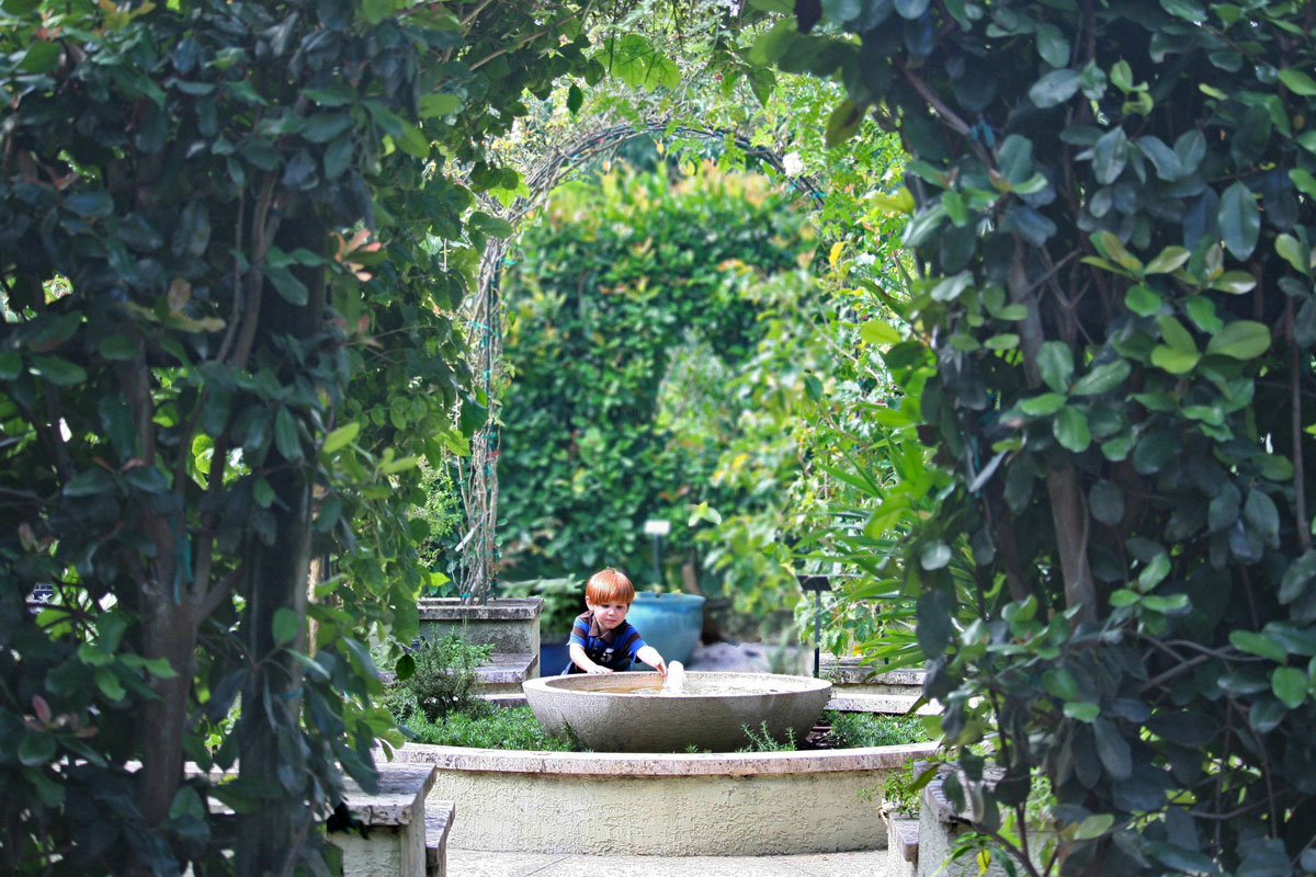 Mounts Wellness Garden image