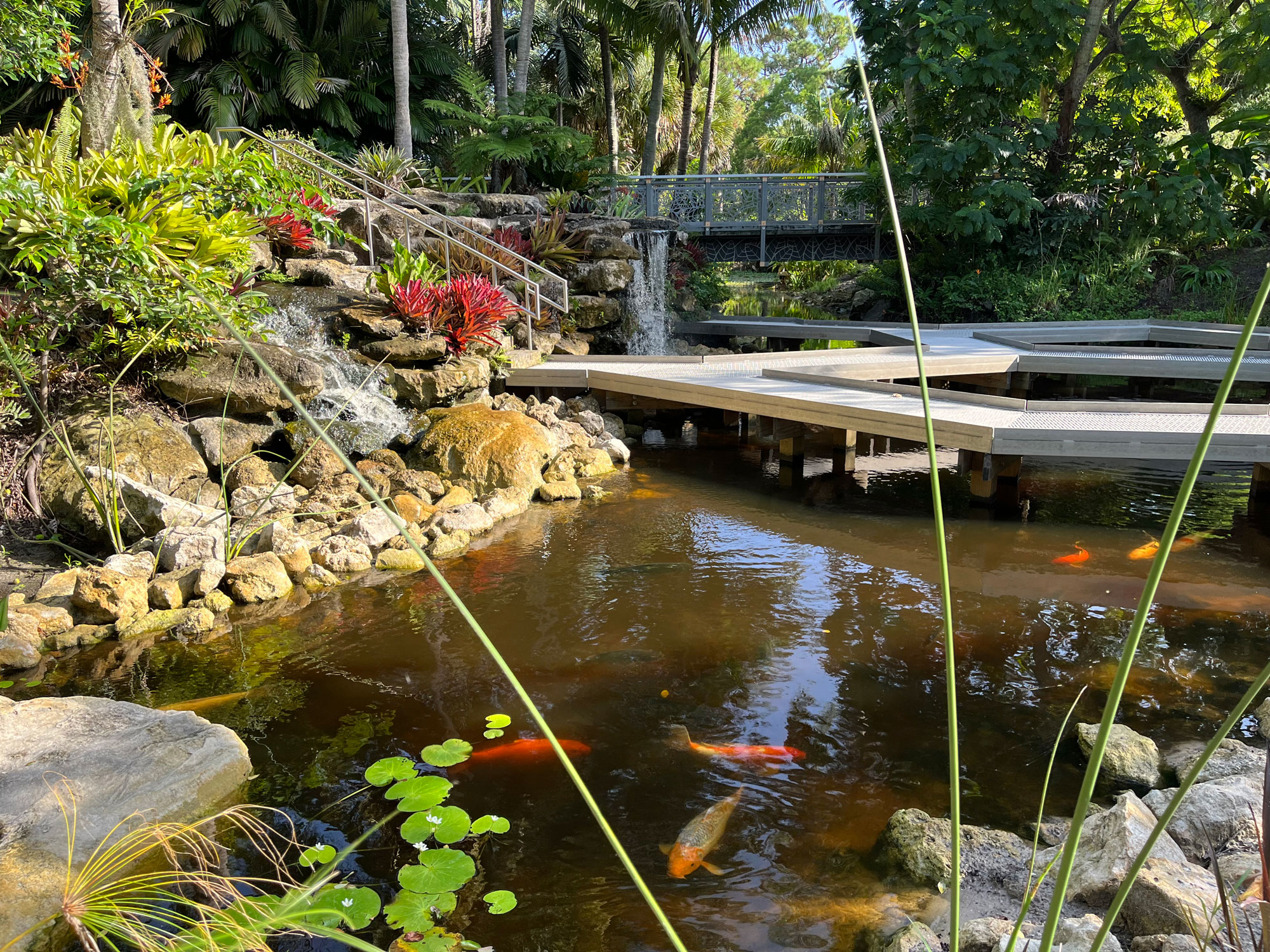 /NewsroomImages/0625/2-Koi-Windows-on-the-Floating-World.jpg
