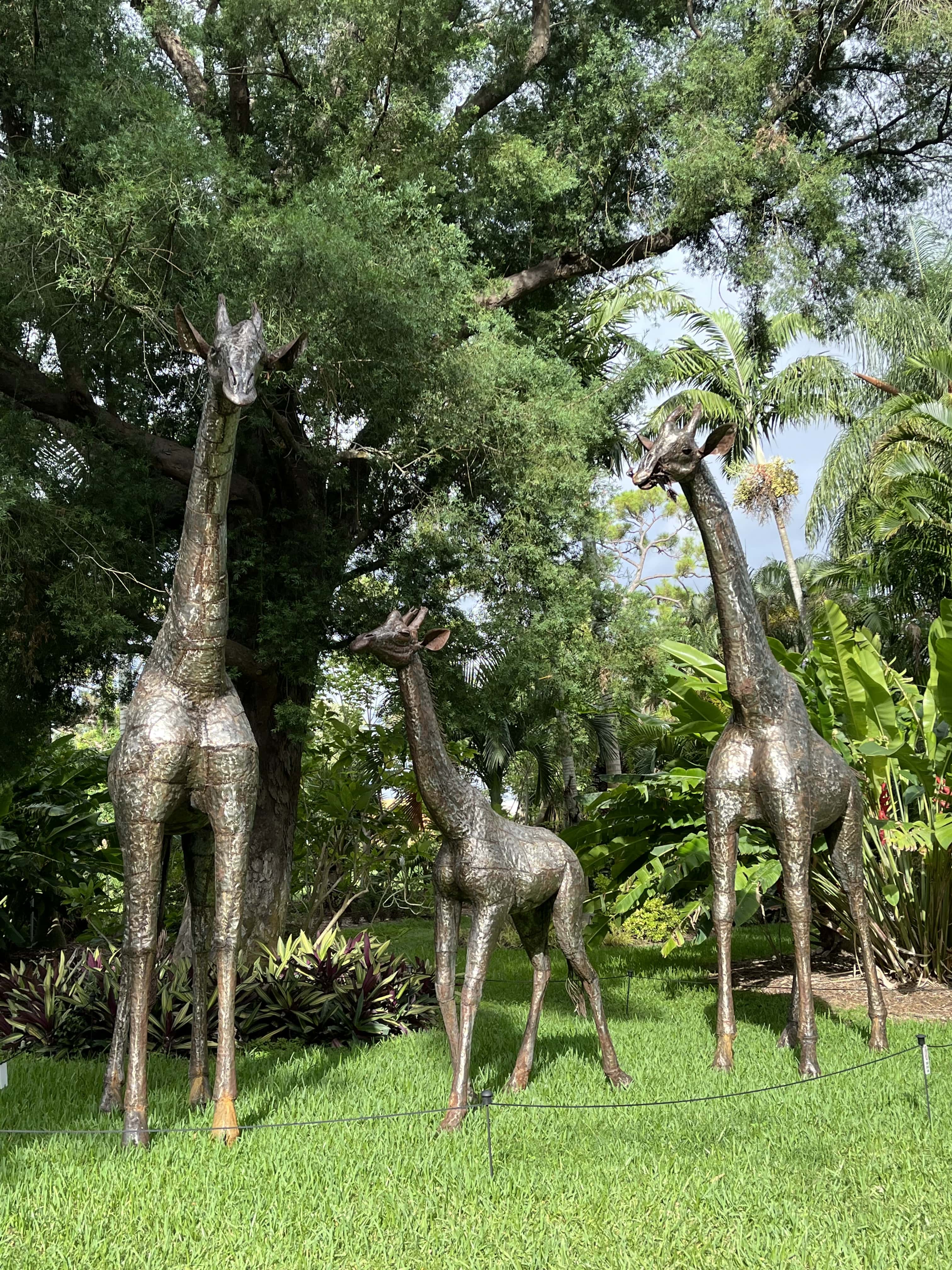 /NewsroomImages/0724/1. Three metal giraffes at Mounts.JPG