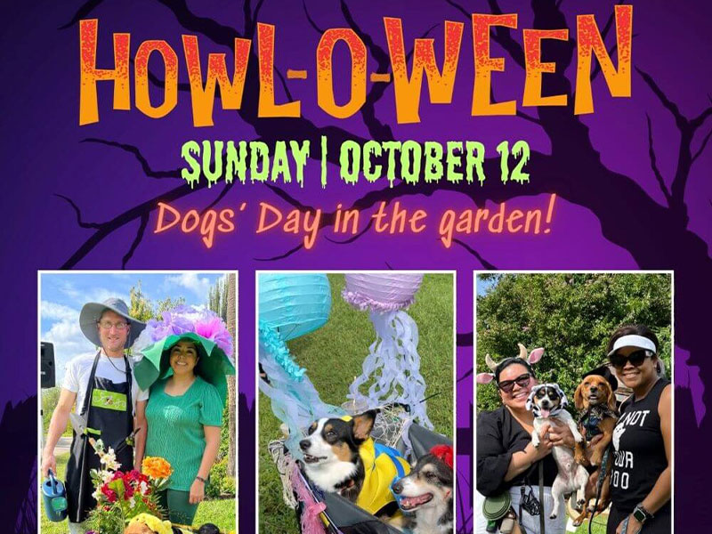 PBC Mounts Garden Howl-O-Ween October 12 Event