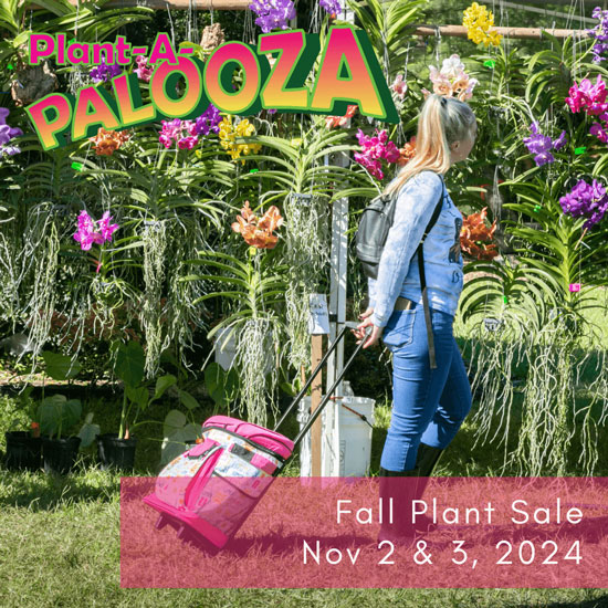 /NewsroomImages/1024/Mounts-Fall-Plant-a-Palooza-2024.jpg