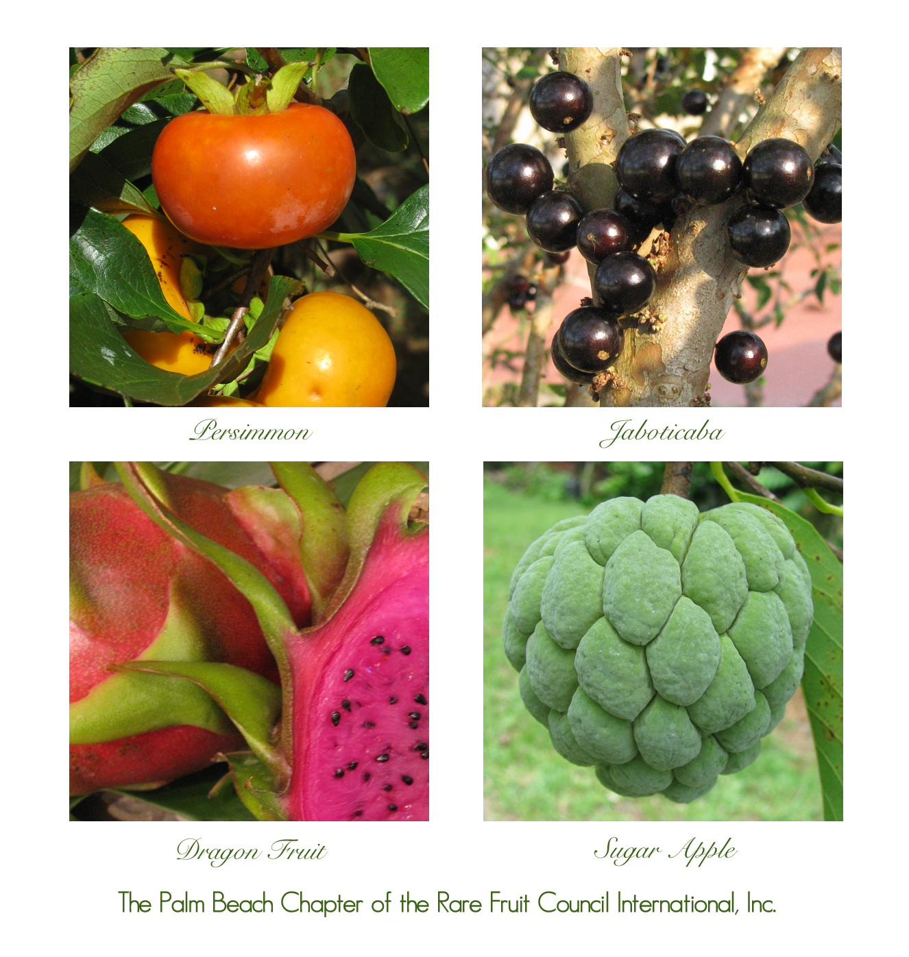 /NewsroomImages/1025/PBC.RFC4.jpg