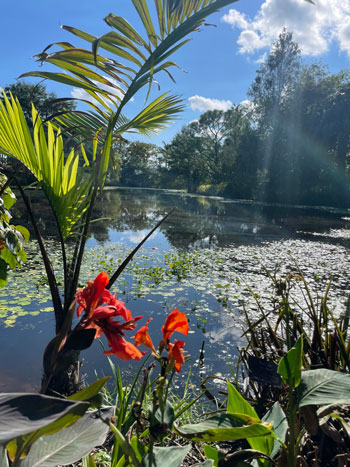 Lake Orth at Mounts Botanical Garden image