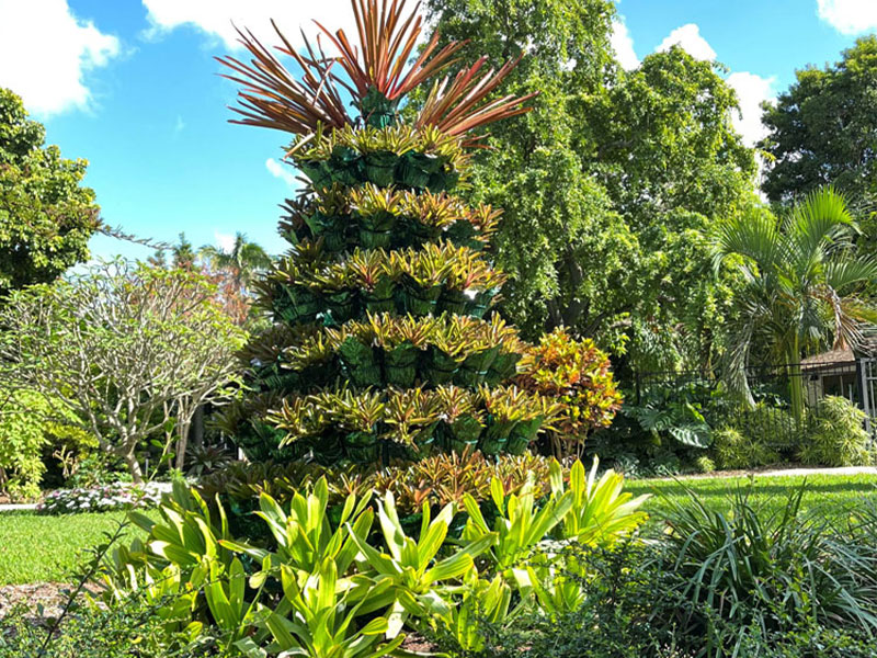 Mounts Holiday Bromeliad Tree image