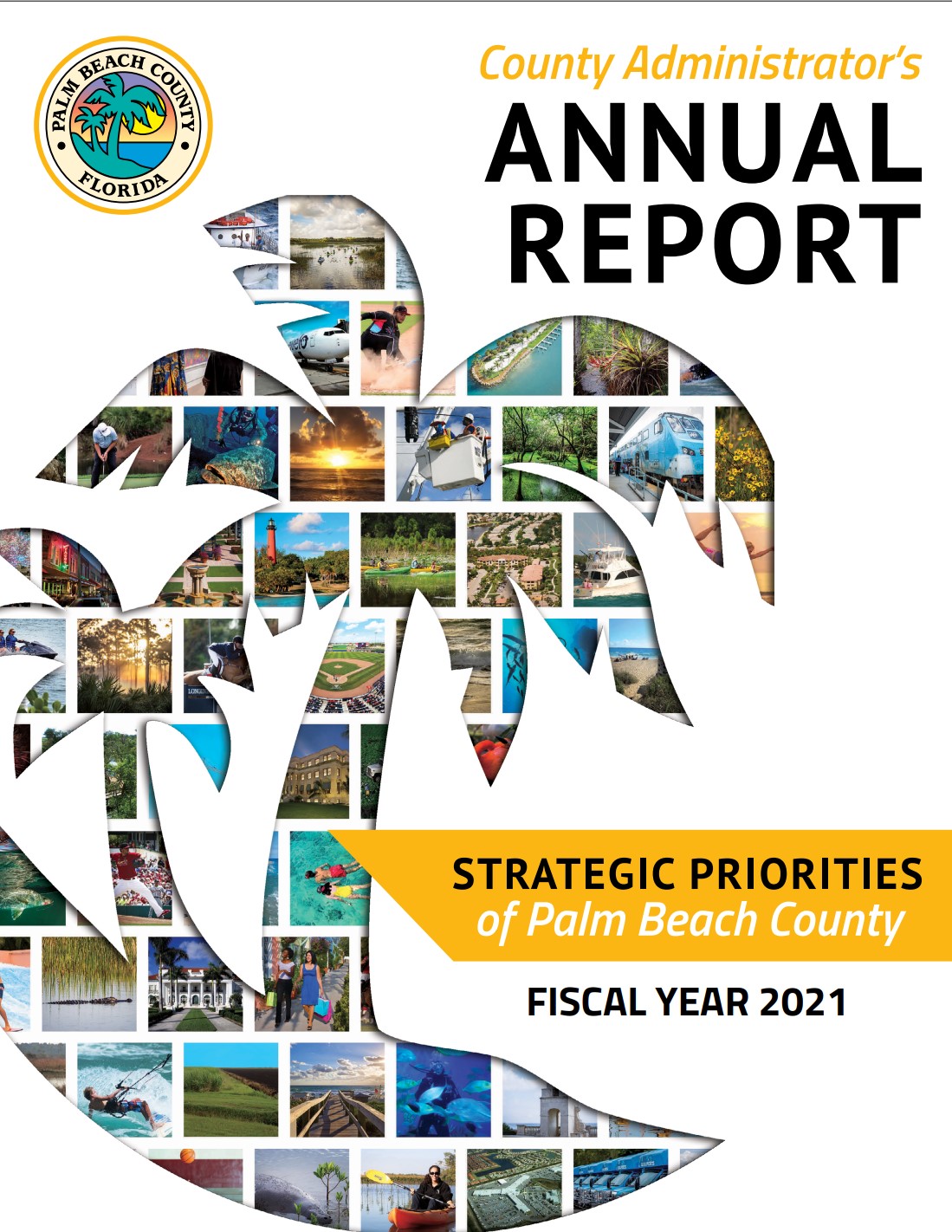 Annual Report Fiscal Year 2021 cover photo