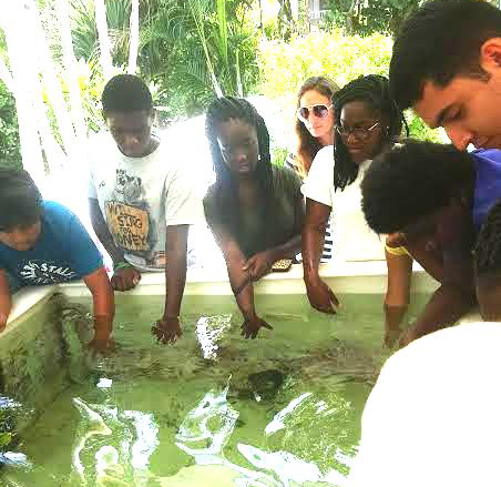 Students feeding stingrays at ocean institute