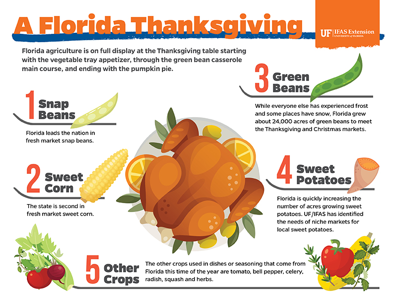 Florida Thanksgiving
