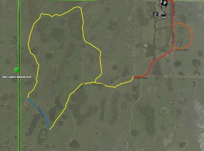 Aerial Map of Pine Glades Natural Area Trail Closure February 2021