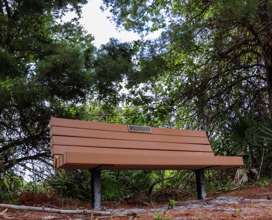 Close up view of memorial bench in a natural area