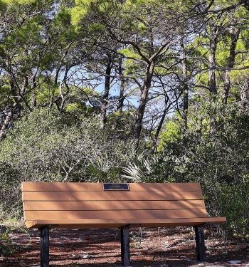 View of a memorial bench at a natural area