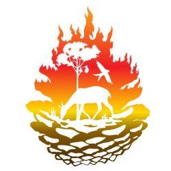 Palm Beach County Environmental Resources Management Prescribed Fire Program Logo
