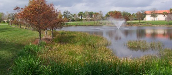 Picture of an excavated lake and the wetland litorral zone along the lake edge