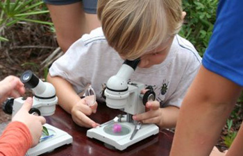 Participants looking through microscope while on a guided adventure in our Growing Up Wild Children's Adventure Awaits program.