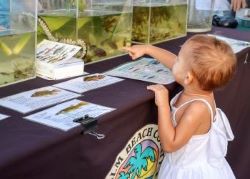 Kids looking at wildlife found in natural area