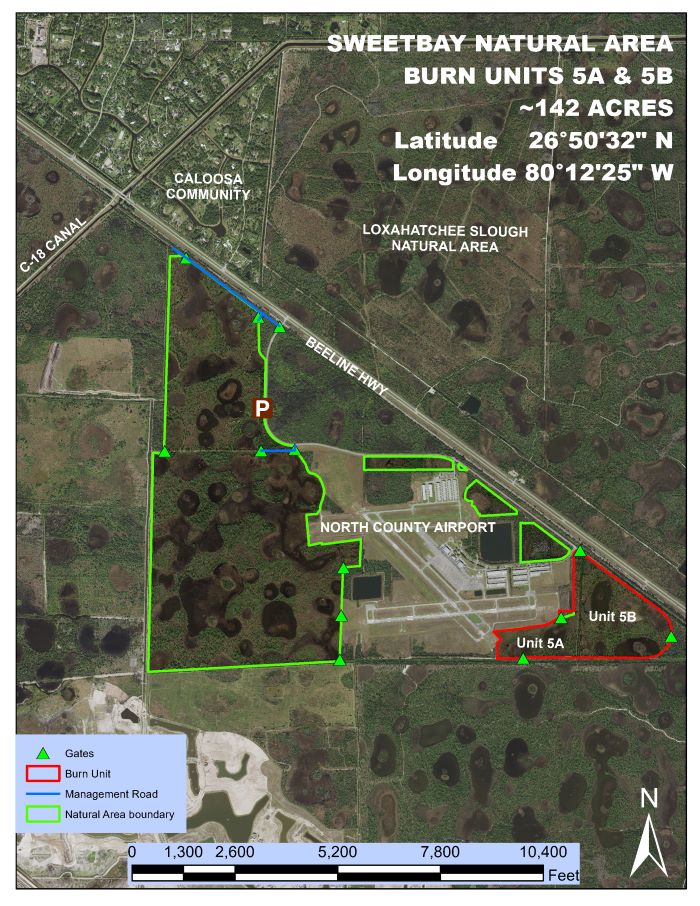 Site Map showing prescribed fire location at Sweetbay Natural Area November 4, 2022