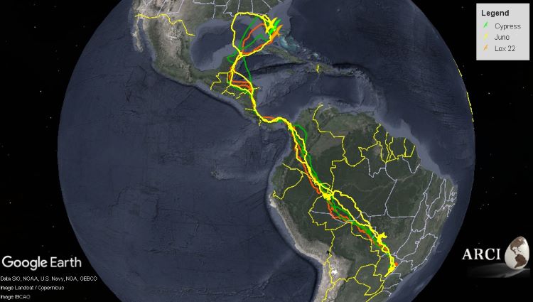 Map showing the migration path of 3 swallow tailed kites