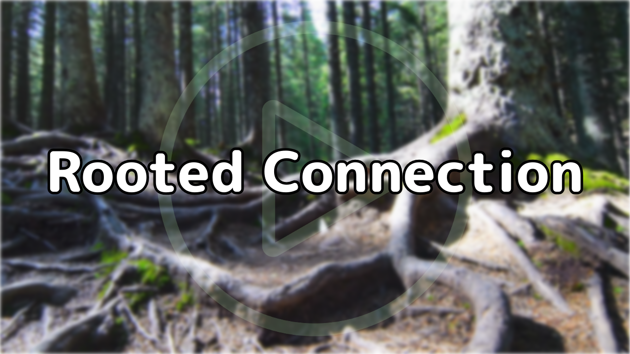 Rooted Connection - watch the video
