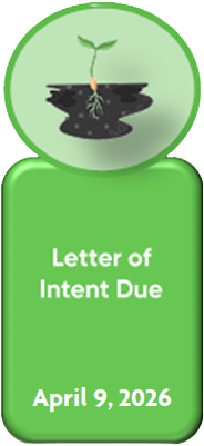 Step 2 - Letter of Intent Due