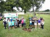 triangle park tree planting