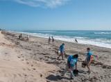 people participating in a beach cleanup