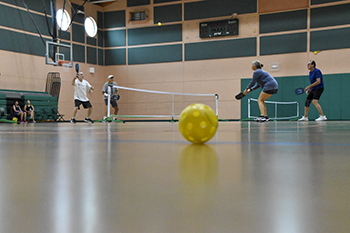 Pickleball image