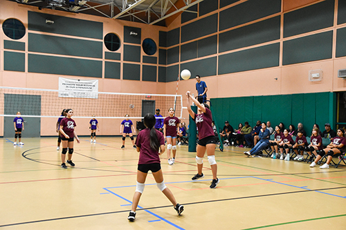 http://pbcauthor/parks/SiteImages/News/volleyball-wb.jpg