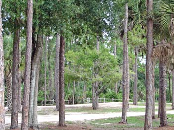 loxahatchee groves park