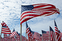 american flags