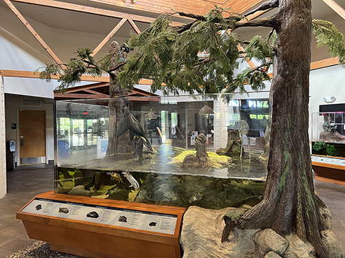 green cay exhibit