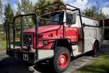 Type of Unit: Brush Truck<br>Station: 17<br>Year Built:2001<br>Manufacturer: Freightliner