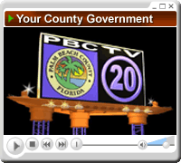 Your County Government