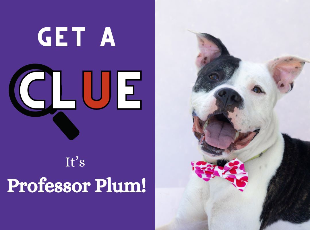 Meet Professor Plum