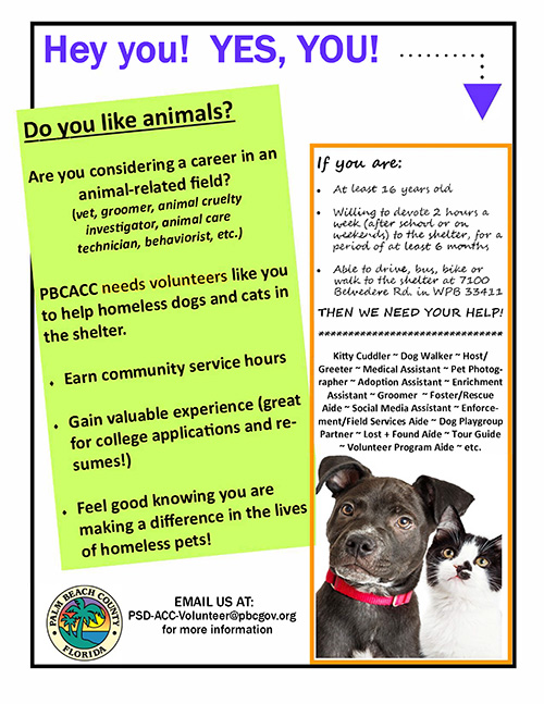 animal volunteer opportunities near me for 15 year olds