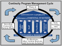 Program Management Cycle