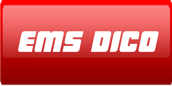 EMS DICO icon
